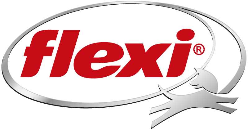 Flexi – logo