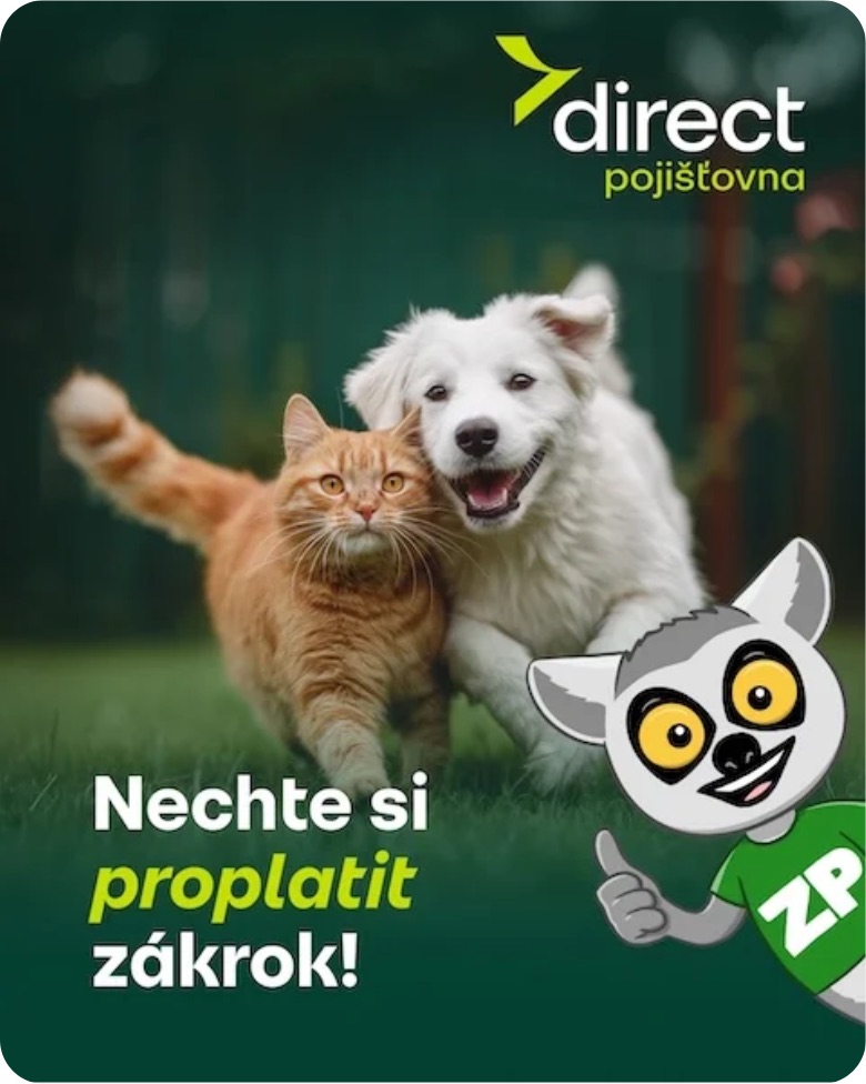 Pojištění mazlíčků od Direct pojišťovny