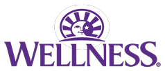Wellness CORE – logo